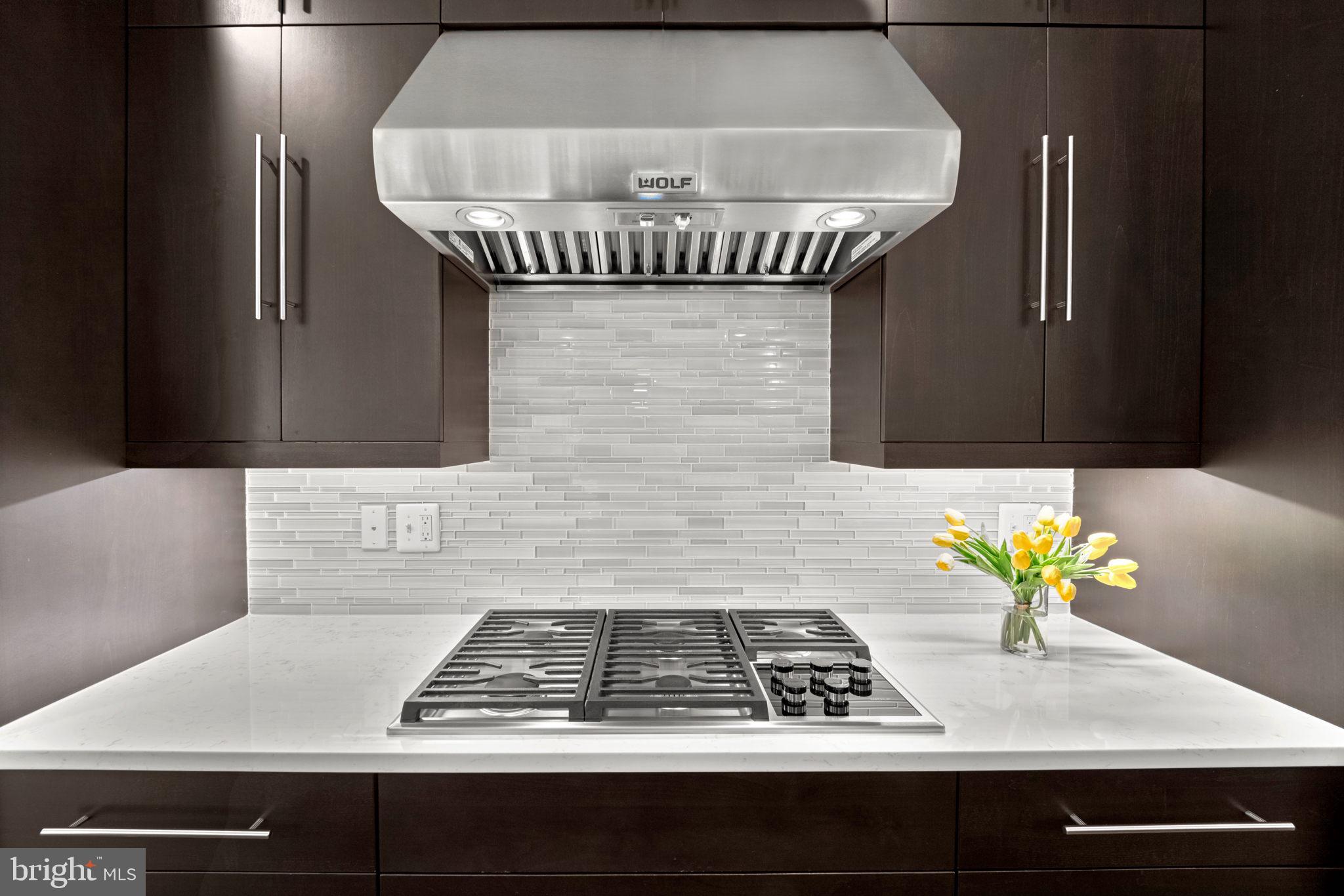 606 Brookes Ridge Court Bethesda, MD 20816 - Photo 9 of 41 Wolf Cooktop with Wolf Hood Vent