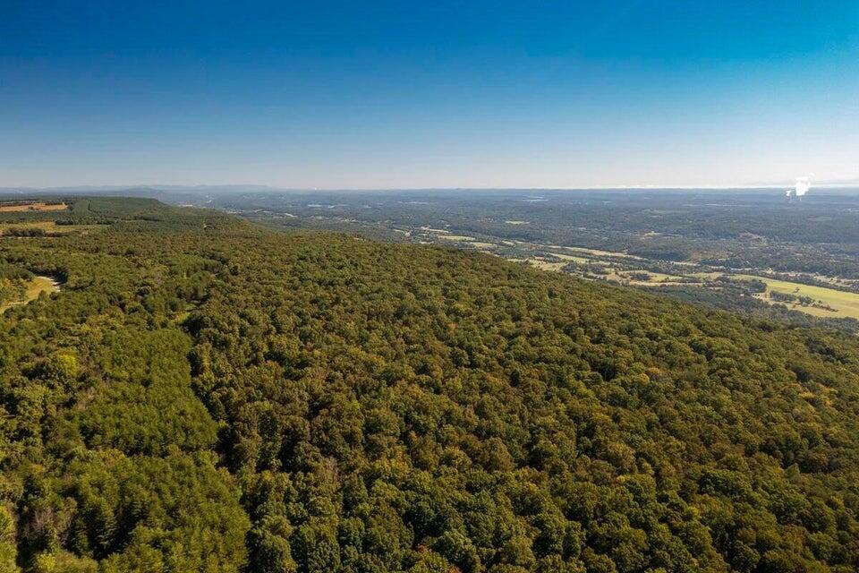 10 Wash Pelfrey Road Evensville, TN 37332 - Photo 6 of 11 6