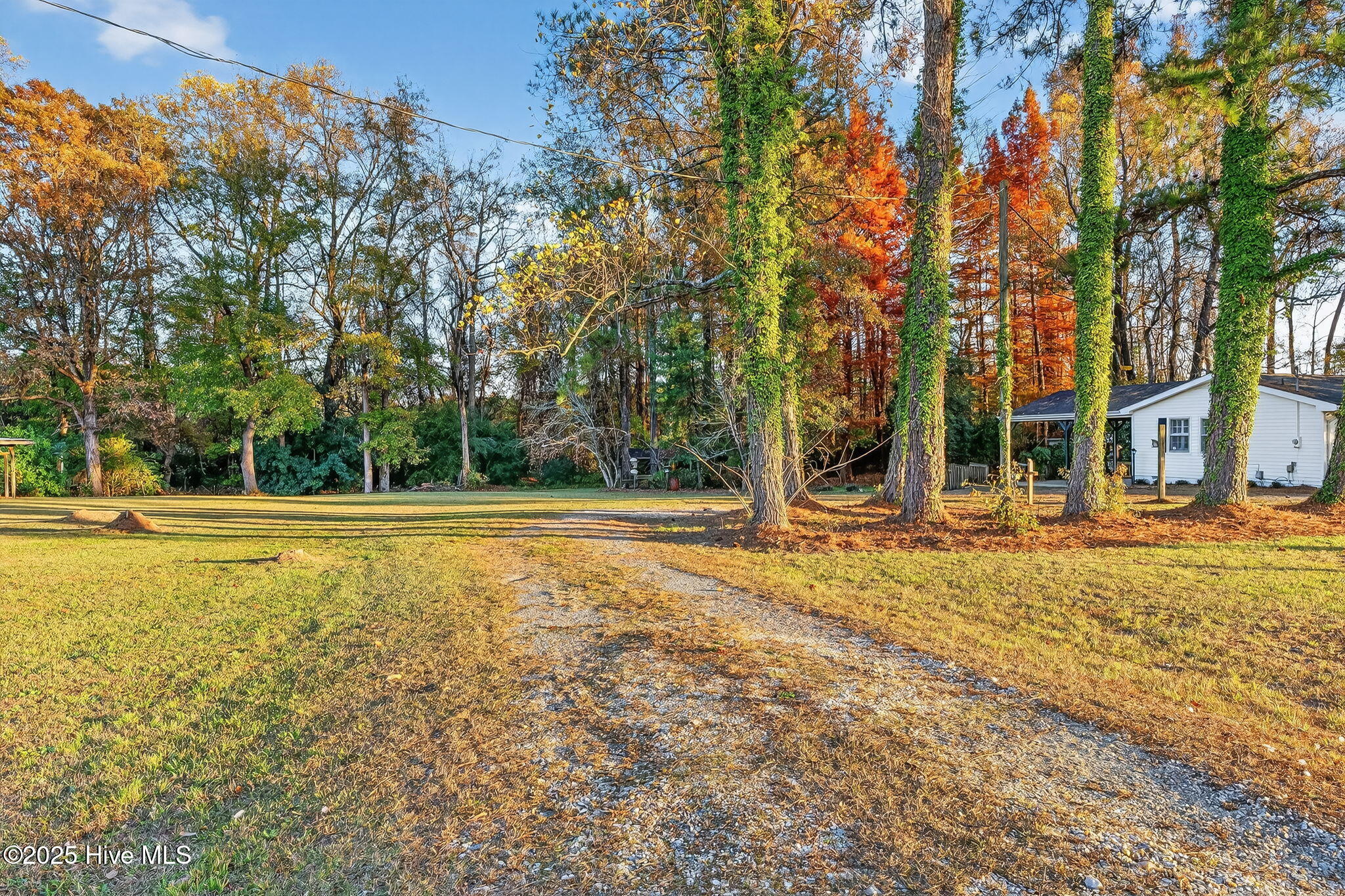 4509 Steven's Chapel Road Smithfield, NC 27577 - Photo 29 of 68 Driveway
