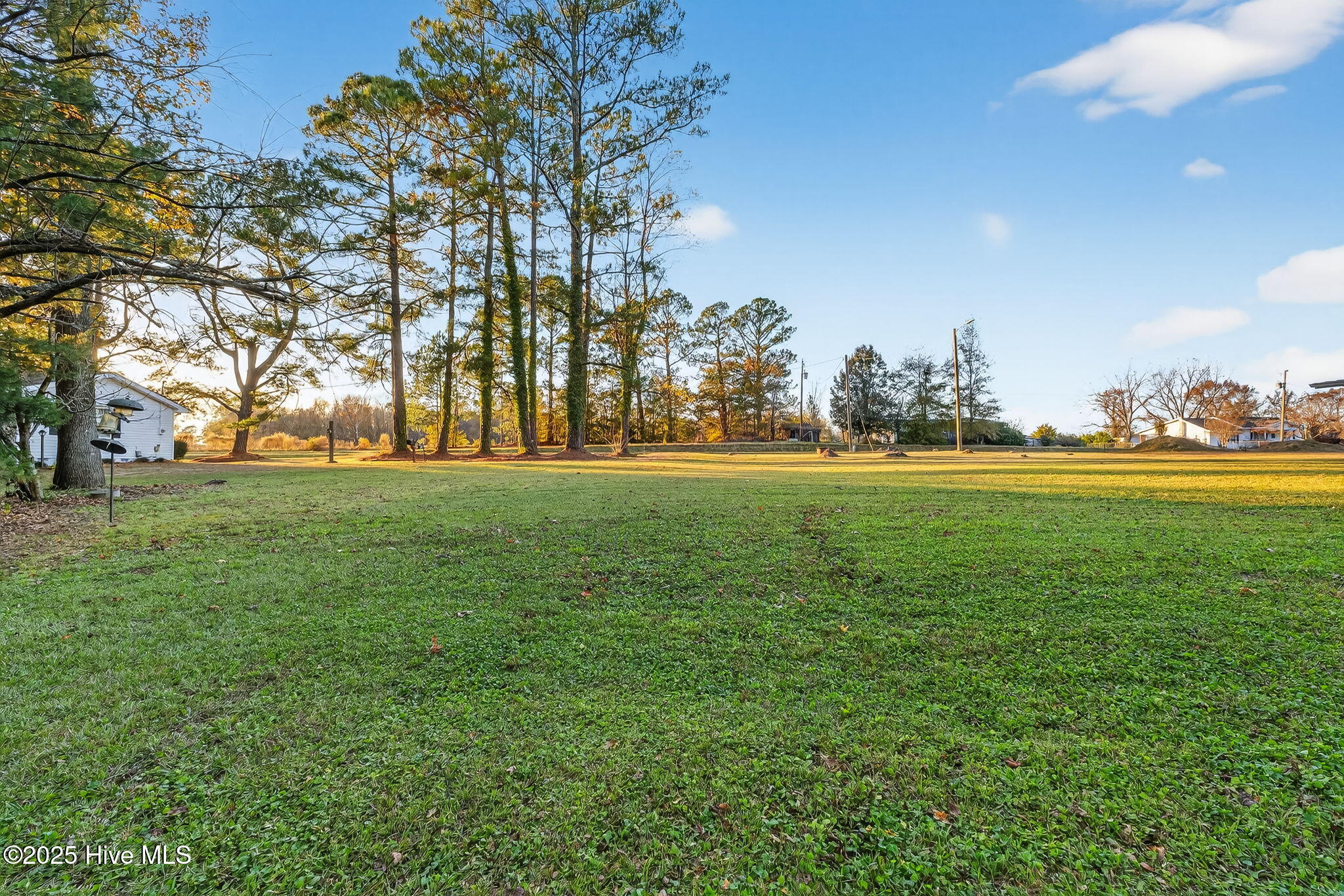 4509 Steven's Chapel Road Smithfield, NC 27577 - Photo 31 of 68 Pasture