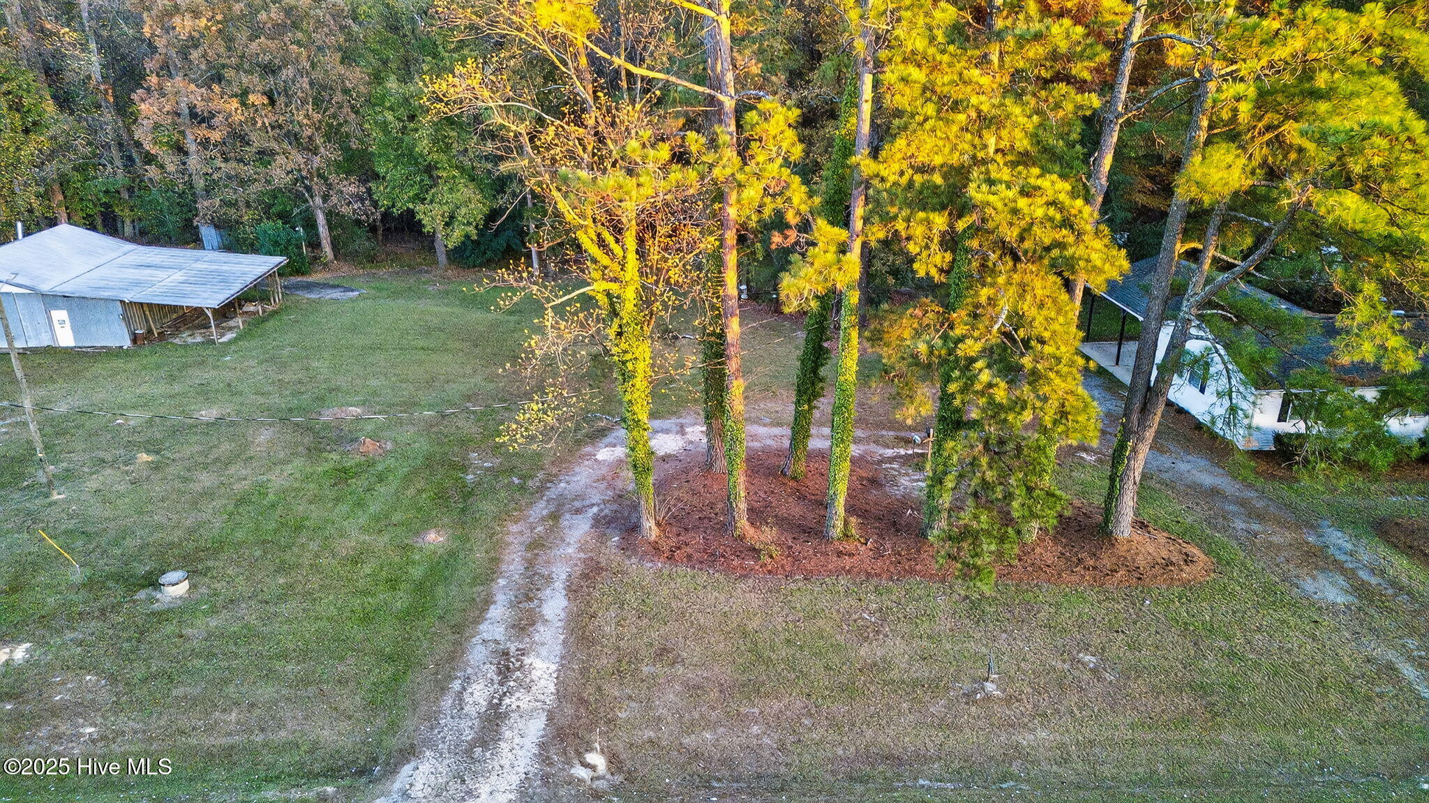 4509 Steven's Chapel Road Smithfield, NC 27577 - Photo 66 of 68 Driveway