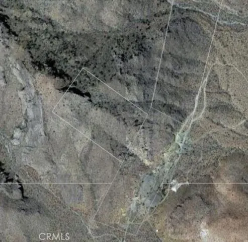 a view of a dry field with trees in the background