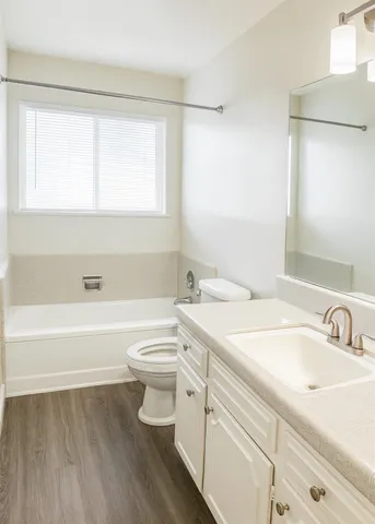 a bathroom with a sink a toilet and a bathtub