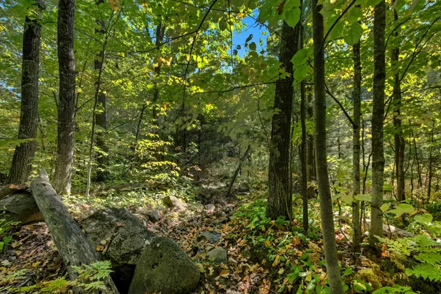 $89,000 | 85-xxx Apple Hill Road, Bayfield, WI 54814