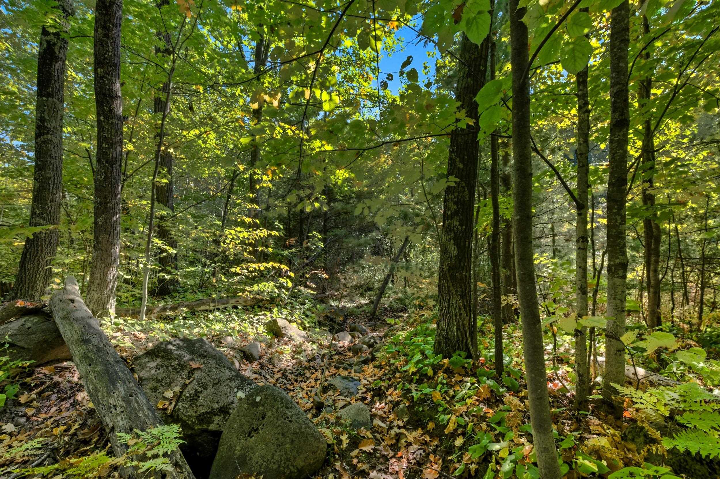 85-xxx Apple Hill Road Bayfield, WI 54814 - Photo 15 of 28