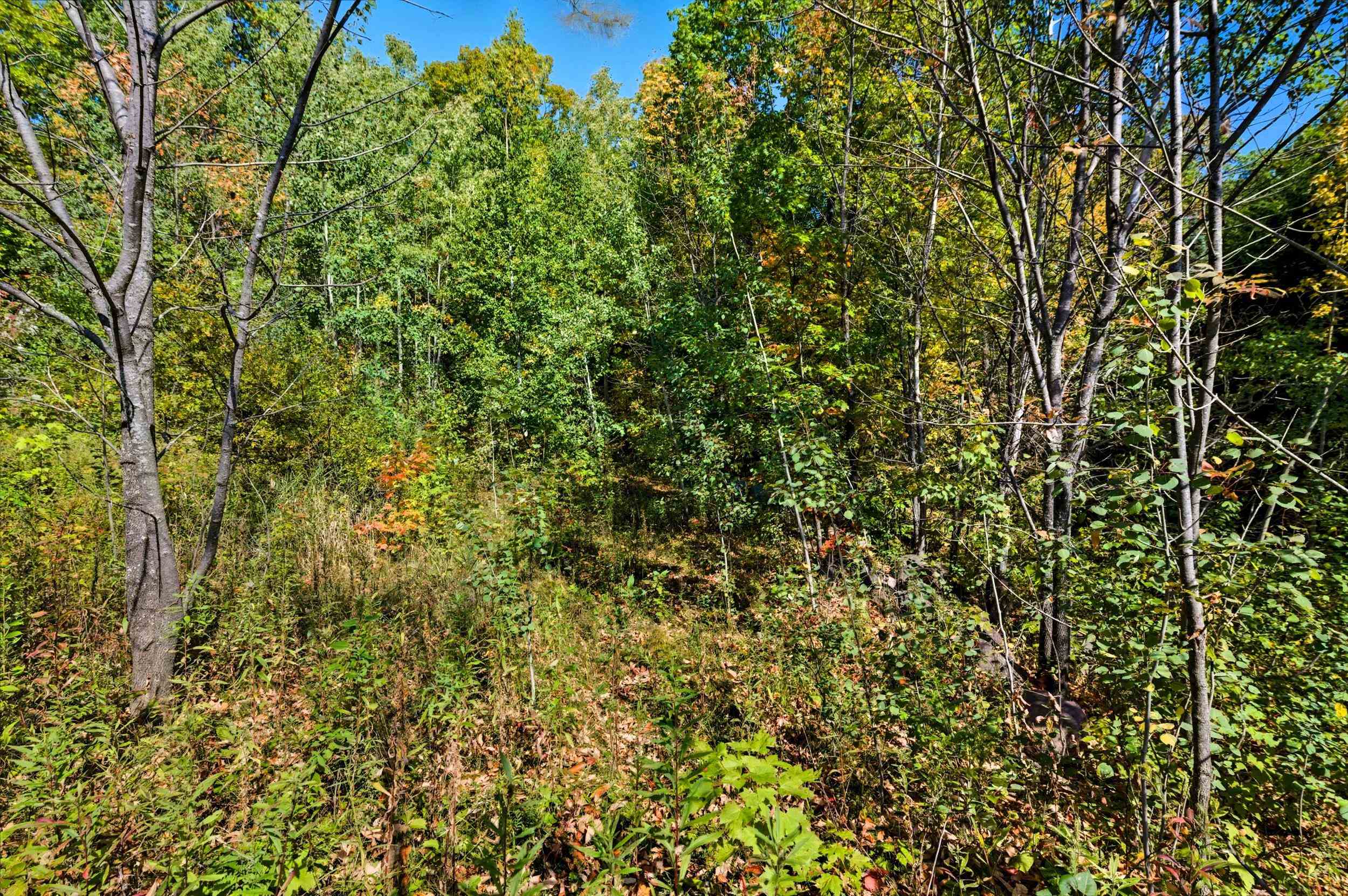 85-xxx Apple Hill Road Bayfield, WI 54814 - Photo 16 of 28