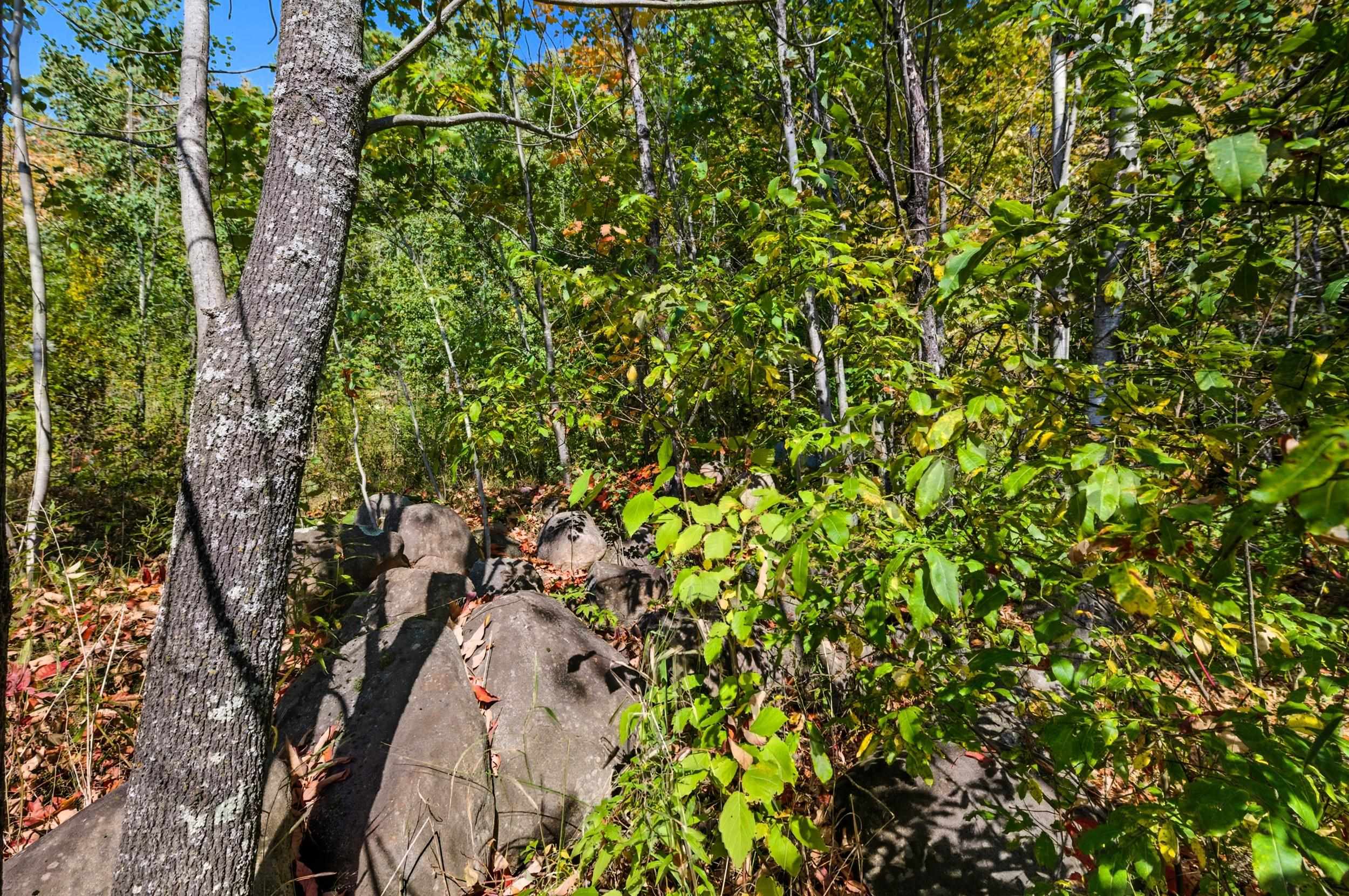 85-xxx Apple Hill Road Bayfield, WI 54814 - Photo 18 of 28