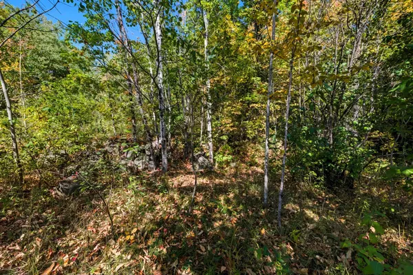 $89,000 | 85-xxx Apple Hill Road, Bayfield, WI 54814