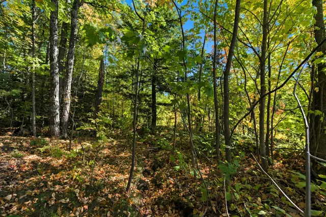 $89,000 | 85-xxx Apple Hill Road, Bayfield, WI 54814