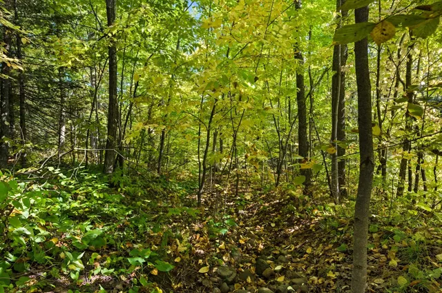 $89,000 | 85-xxx Apple Hill Road, Bayfield, WI 54814