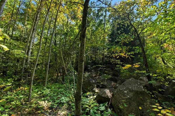 $89,000 | 85-xxx Apple Hill Road, Bayfield, WI 54814