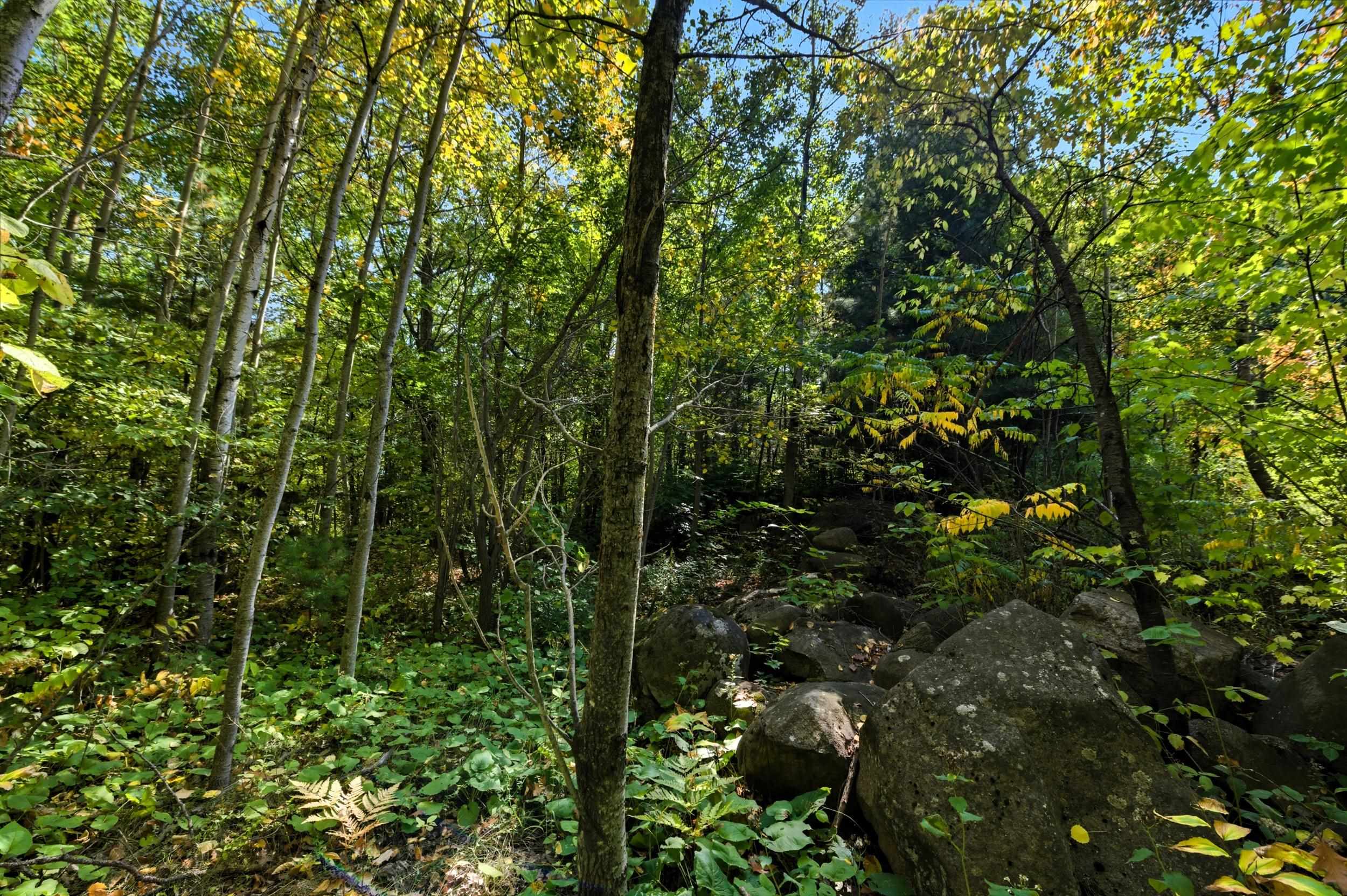 85-xxx Apple Hill Road Bayfield, WI 54814 - Photo 22 of 28