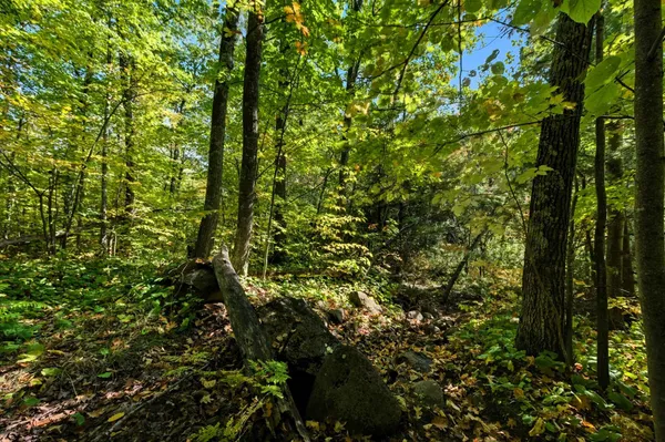 $89,000 | 85-xxx Apple Hill Road, Bayfield, WI 54814