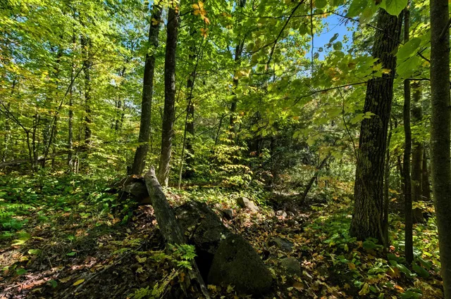 $89,000 | 85-xxx Apple Hill Road, Bayfield, WI 54814