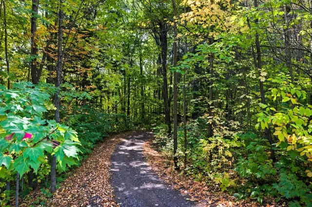 $89,000 | 85-xxx Apple Hill Road, Bayfield, WI 54814