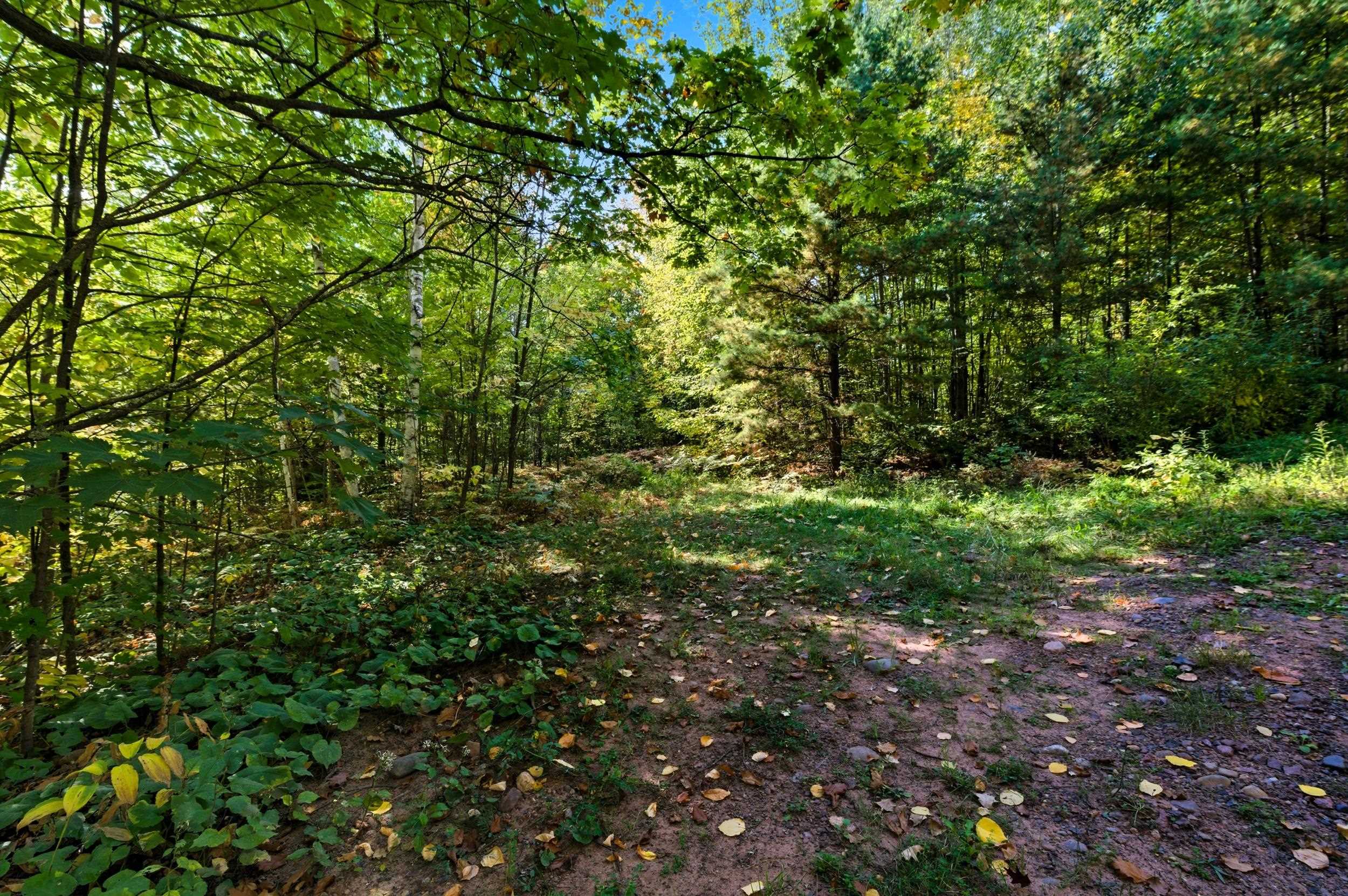 85-xxx Apple Hill Road Bayfield, WI 54814 - Photo 6 of 28