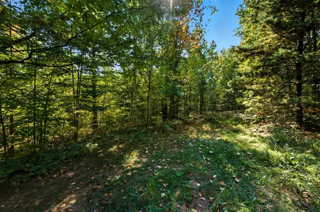 $89,000 | 85-xxx Apple Hill Road, Bayfield, WI 54814