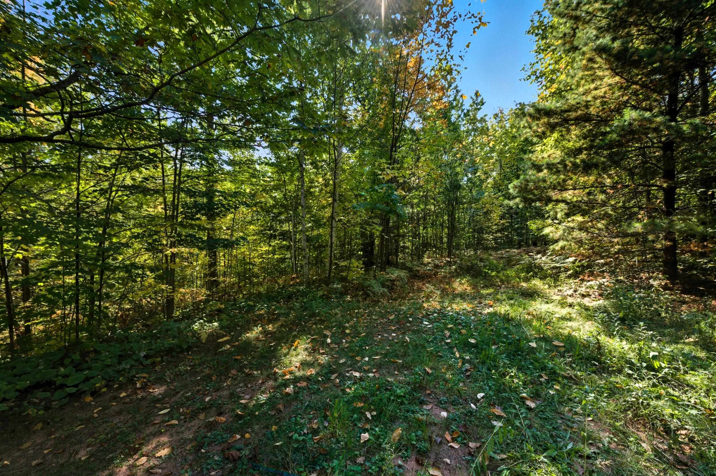 85-xxx Apple Hill Road Bayfield, WI 54814 - Photo 8 of 28