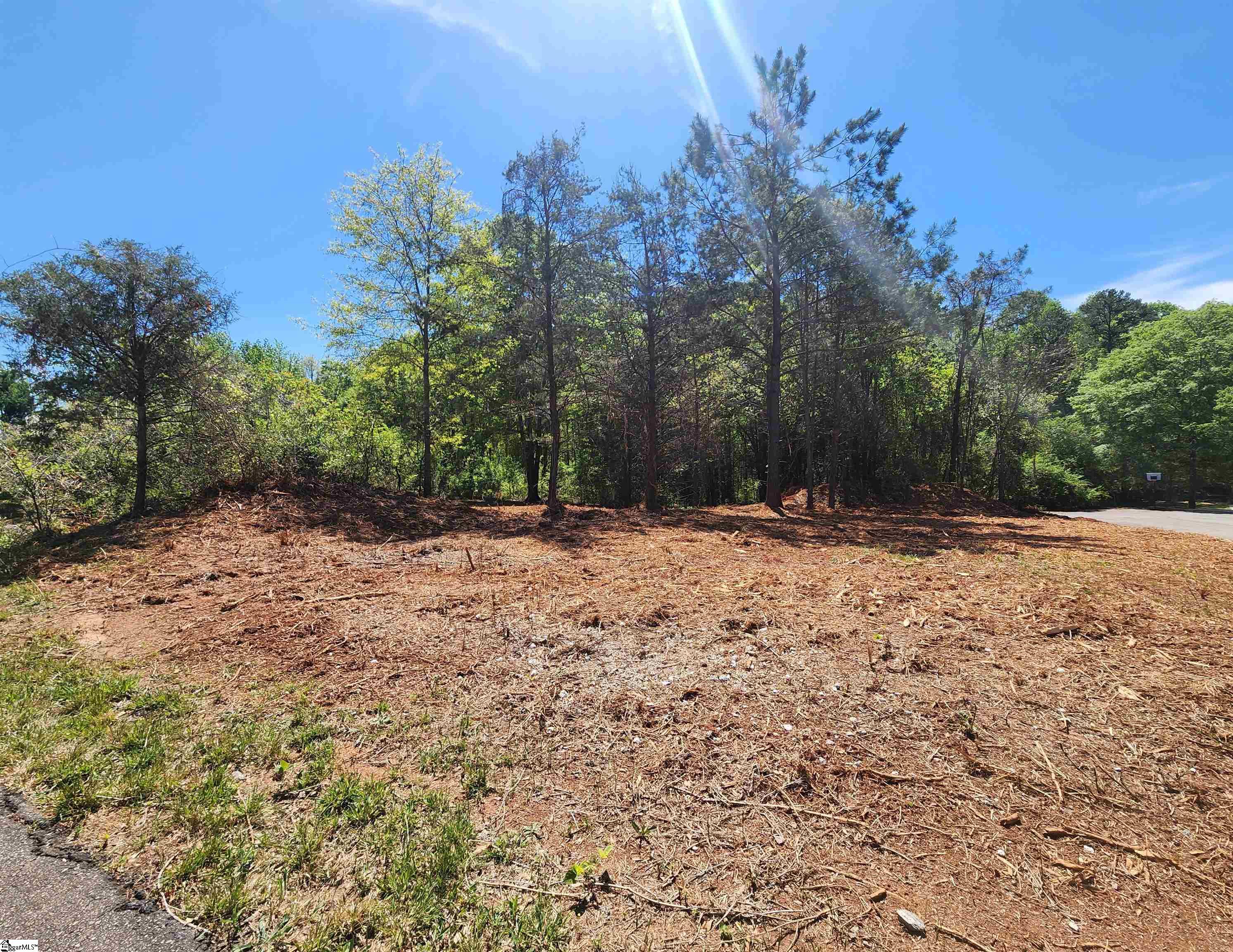109 Franklin Square Way Easley, SC 29642 - Photo 7 of 21