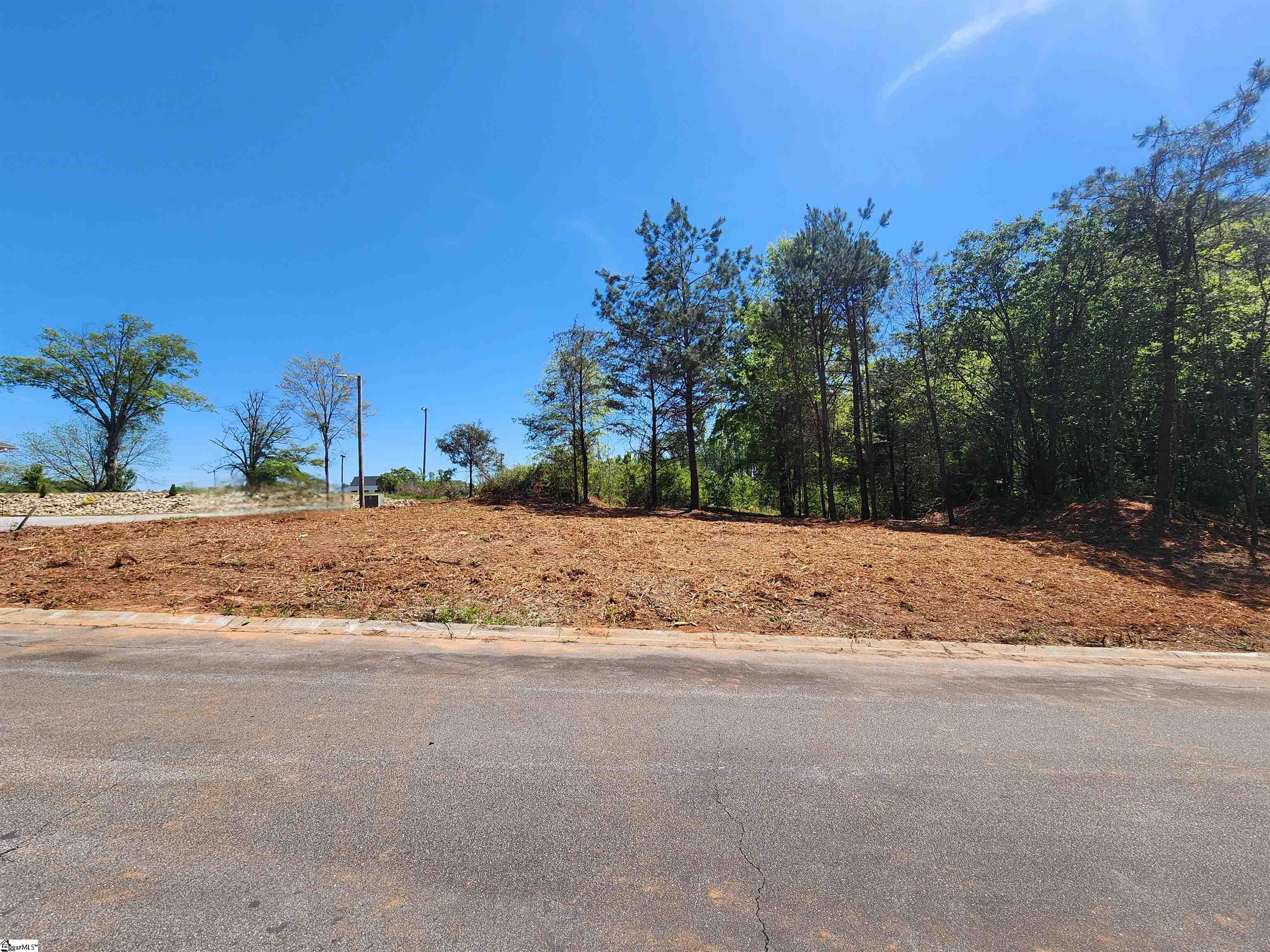 109 Franklin Square Way Easley, SC 29642 - Photo 10 of 21