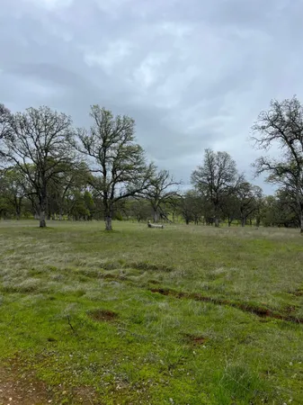 a view of a field with an trees