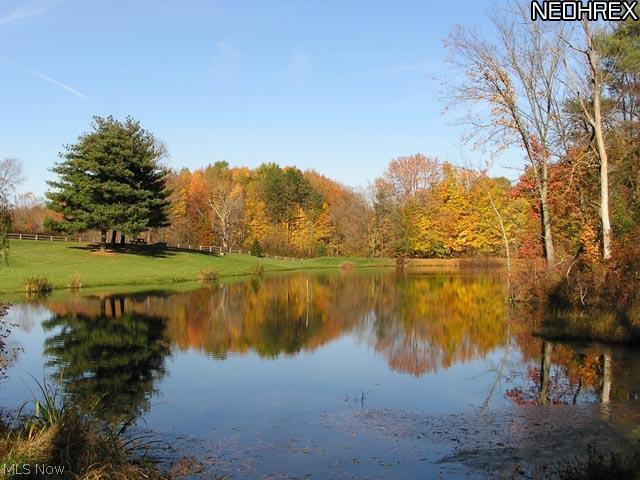 2086 North Medina Line Road Akron, OH 44333 - Photo 16 of 25 Gallery Image 16