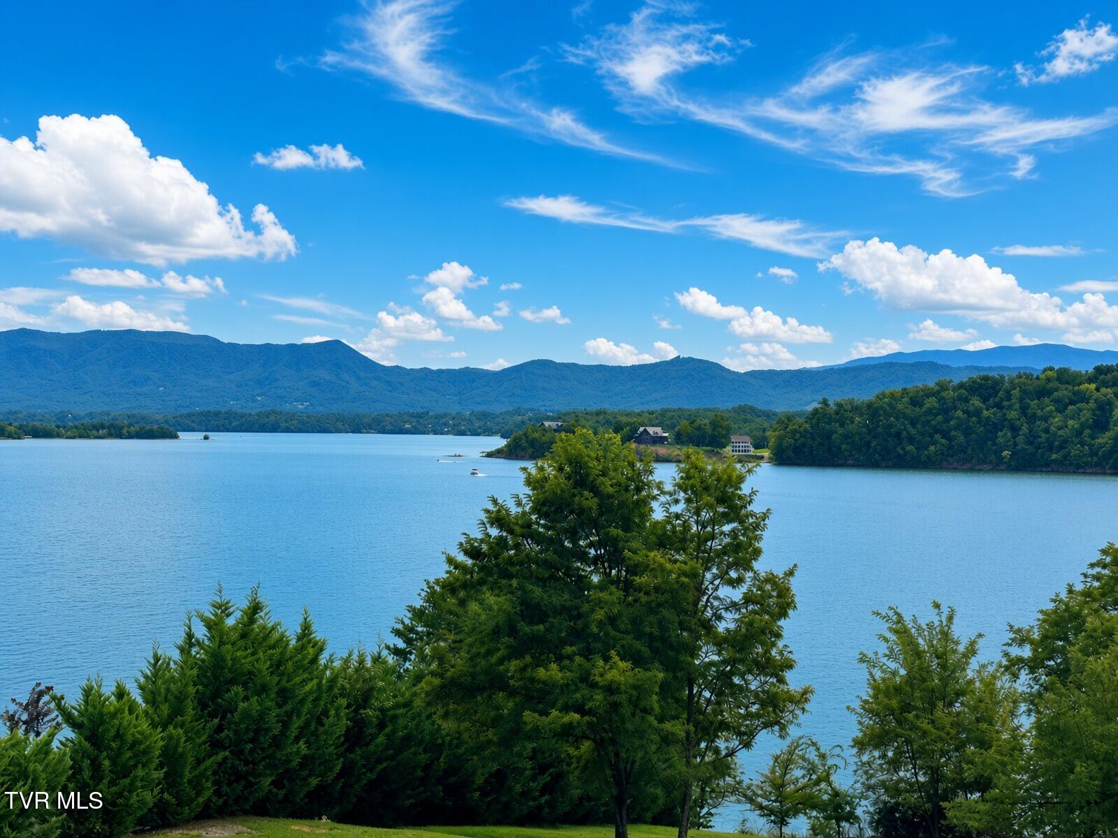 Lot 20 Trotline Road, Unit 2 Dandridge, TN 37725 - Photo 5 of 25 2 (4)