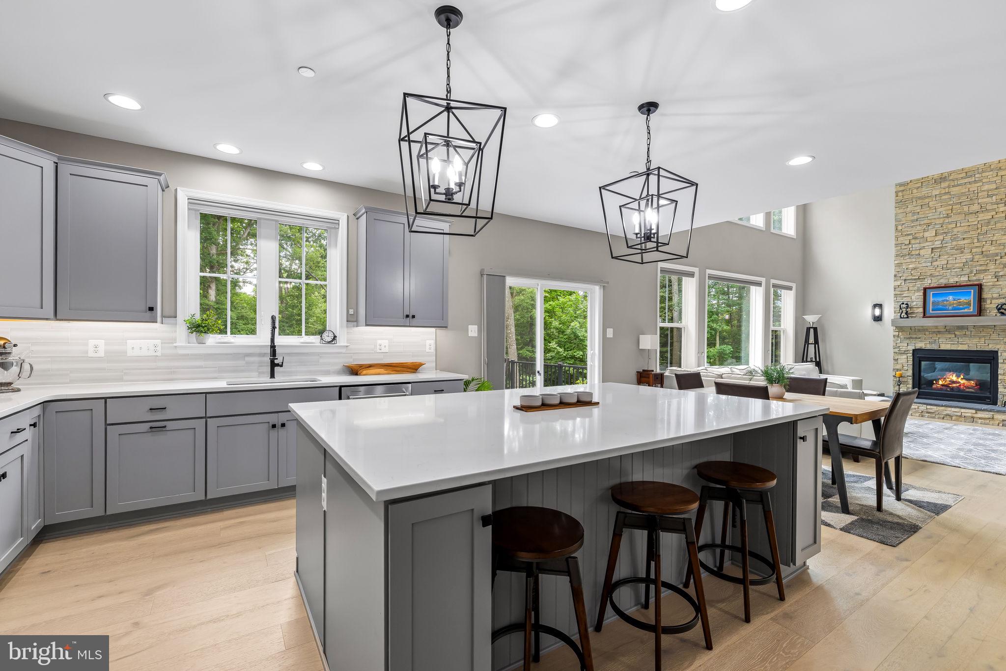 14536 Black Ankle Road Mount Airy, MD 21771 - Photo 9 of 41 Modern kitchen with elegant lighting.