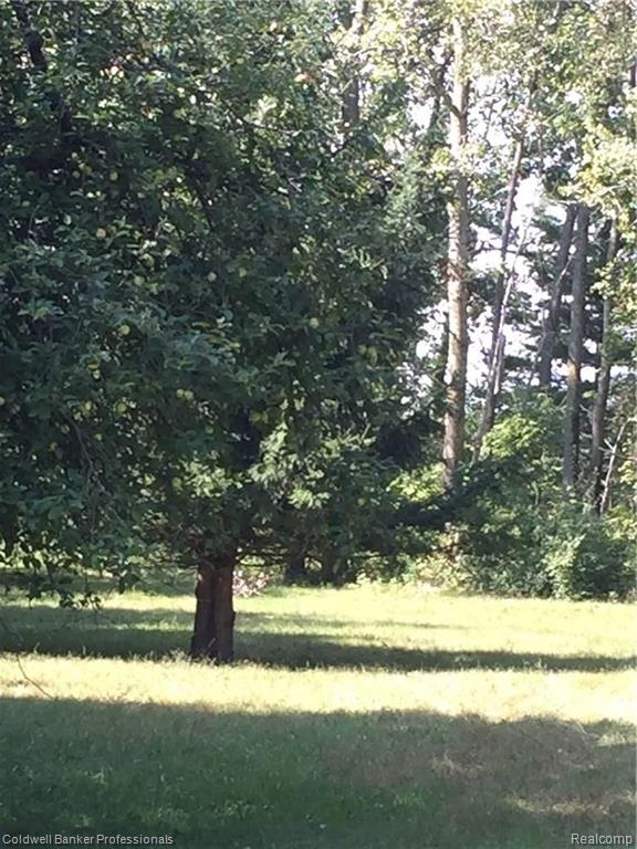 0 Chapinenglehart Road Deford, MI 48729 - Photo 10 of 15
