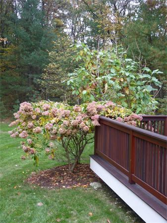 27 Boyden Road Medfield, MA 02052 - Photo 23 of 28 Gallery Image 23