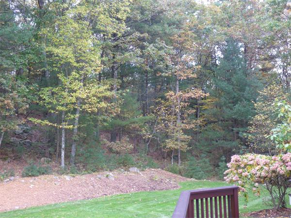 27 Boyden Road Medfield, MA 02052 - Photo 27 of 28 Gallery Image 27