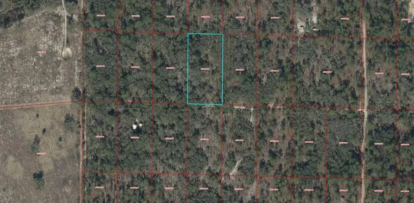 $29,900 | Tbd Southeast 62nd Street, Morriston, FL 32668