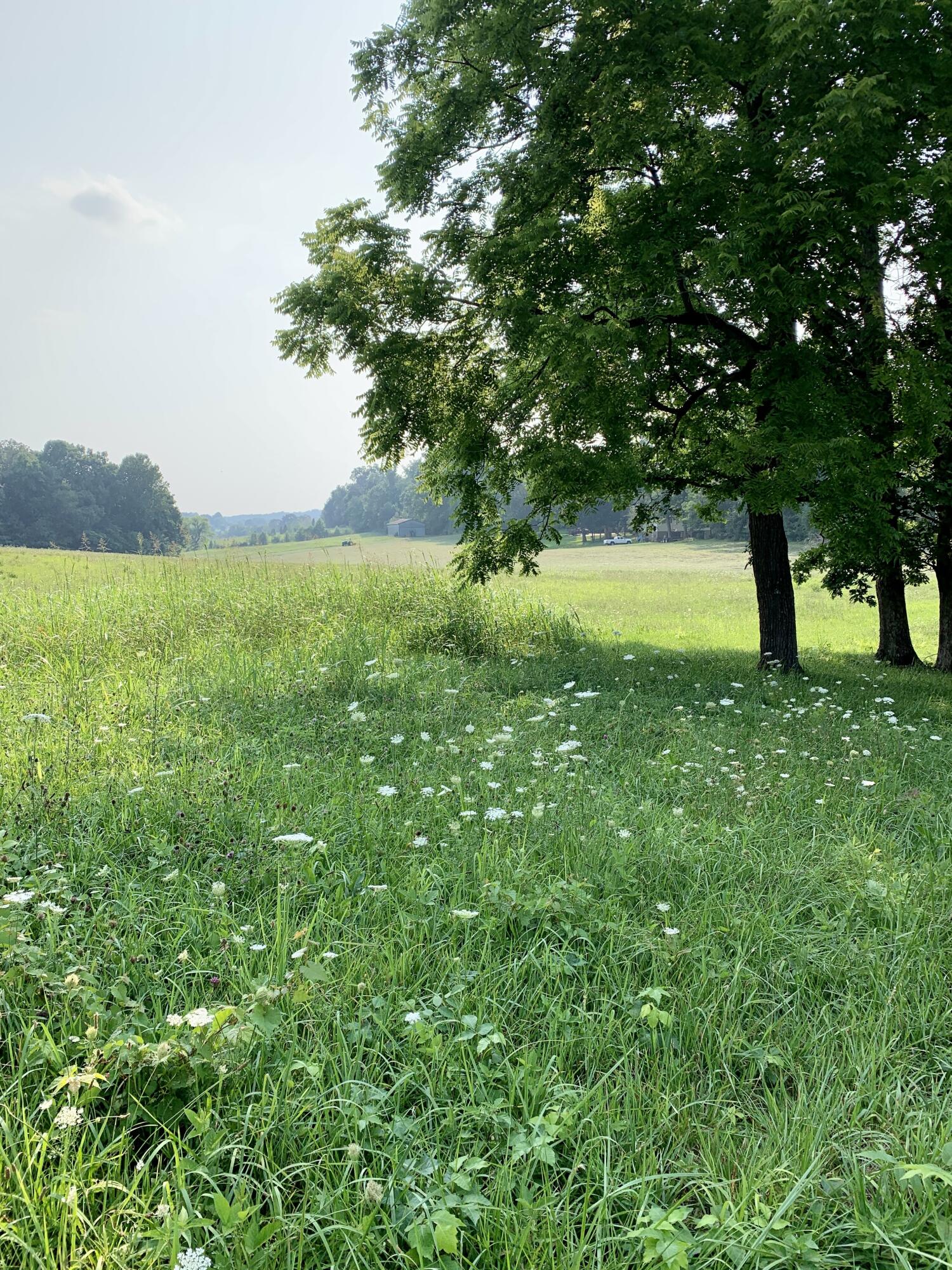Lot 2 Old Shiloh Road, Unit 2 Greeneville, TN 37745 - Photo 2 of 17 IMG_3925