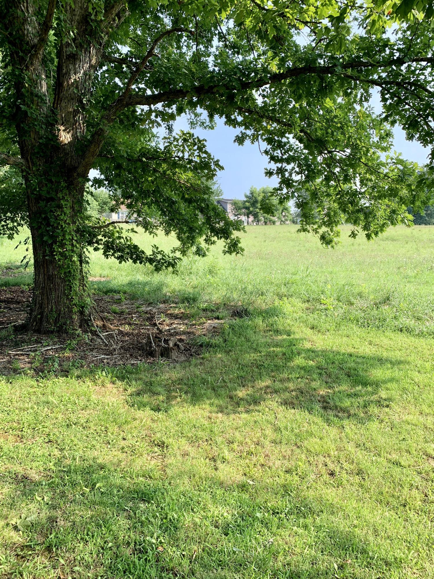 Lot 2 Old Shiloh Road, Unit 2 Greeneville, TN 37745 - Photo 3 of 17 IMG_3929