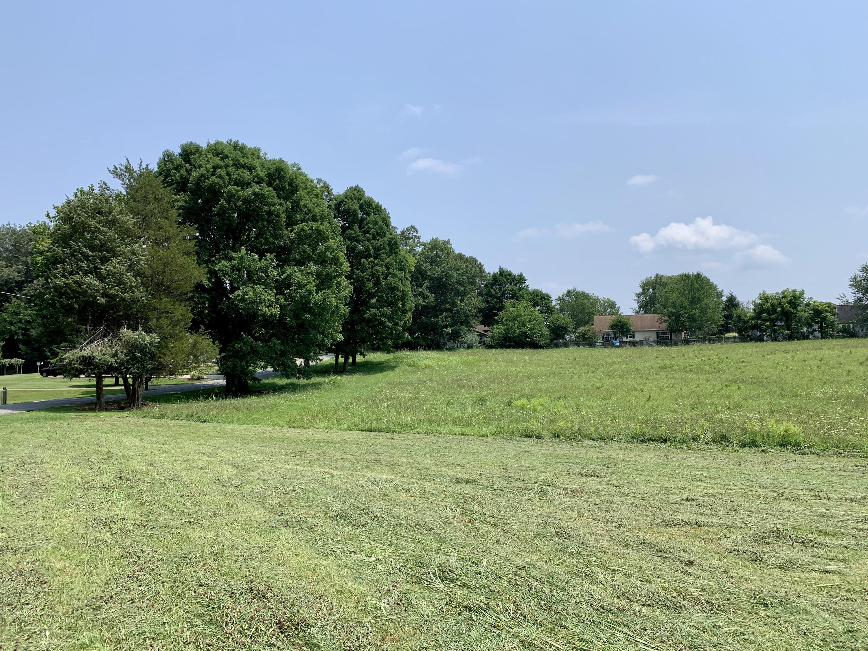 Lot 2 Old Shiloh Road, Unit 2 Greeneville, TN 37745 - Photo 4 of 17 IMG_3922
