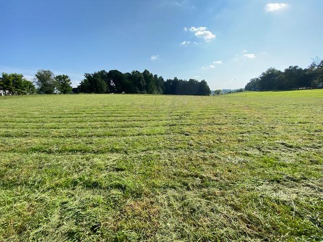 Lot 2 Old Shiloh Road, Unit 2 Greeneville, TN 37745 - Photo 6 of 17 IMG_1637