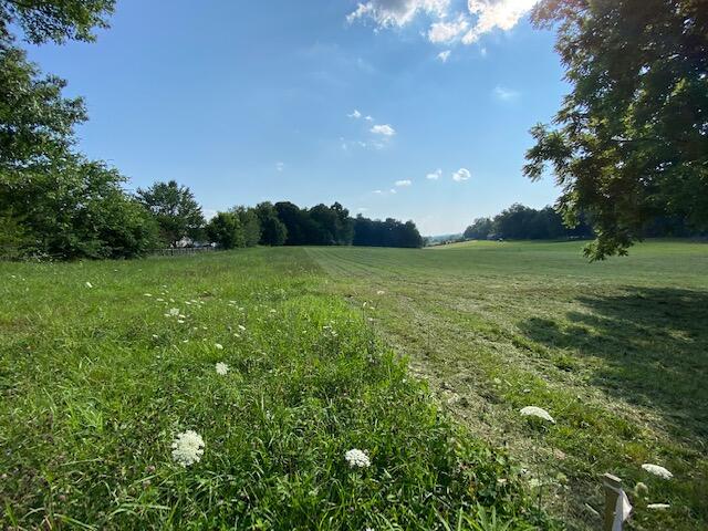 Lot 2 Old Shiloh Road, Unit 2 Greeneville, TN 37745 - Photo 8 of 17 IMG_1634