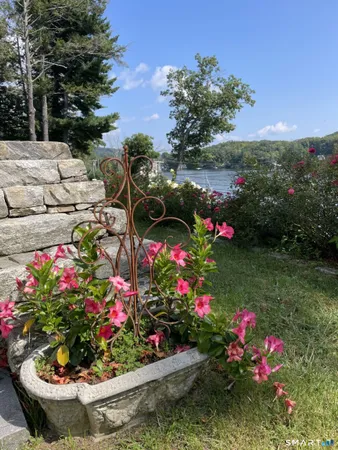 a view of a flower in a garden