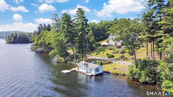 a view of a yard with plants and a bench