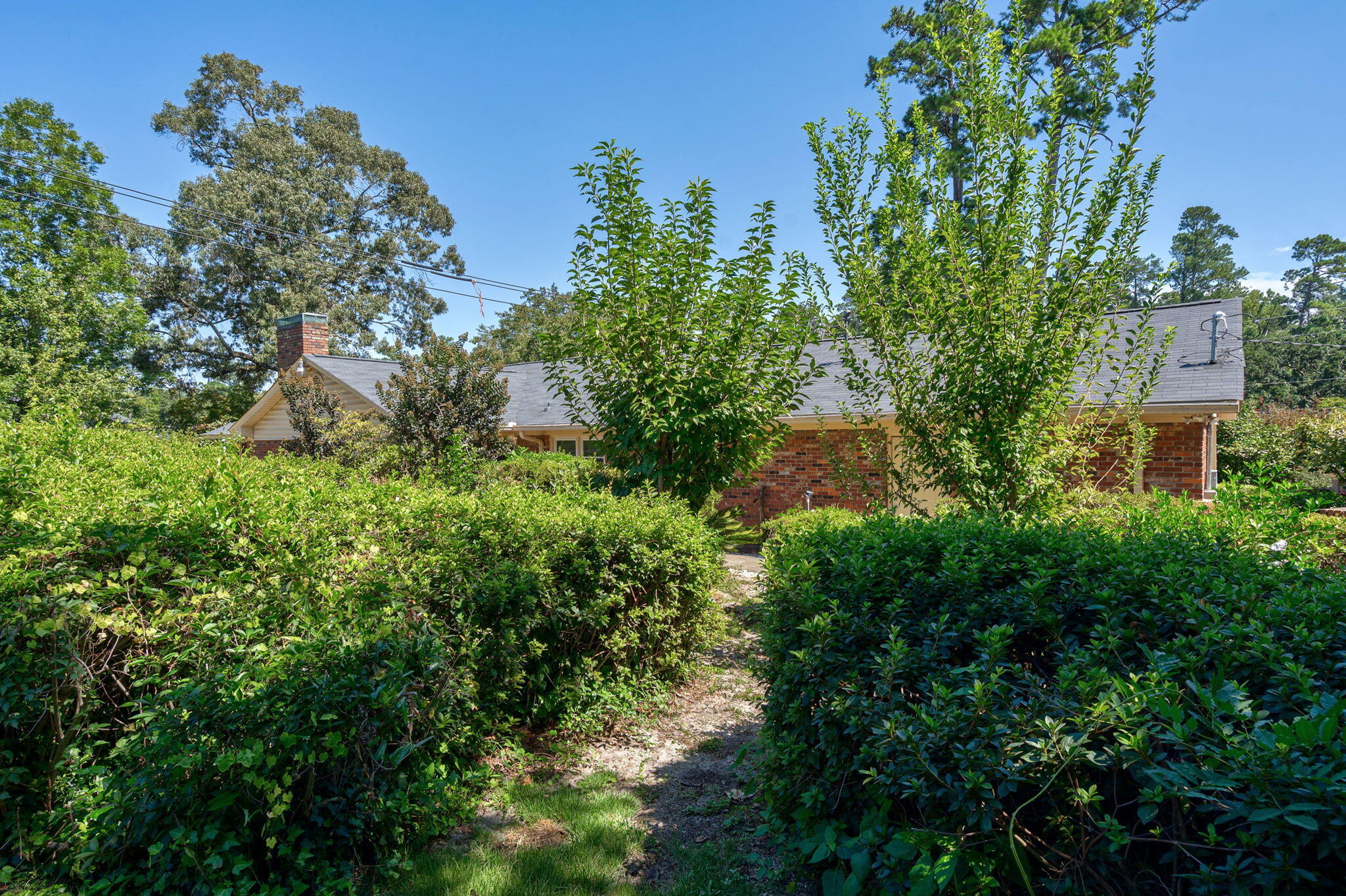 755 Tripps Court Augusta, GA 30909 - Photo 29 of 49 44-web-or-mls-45