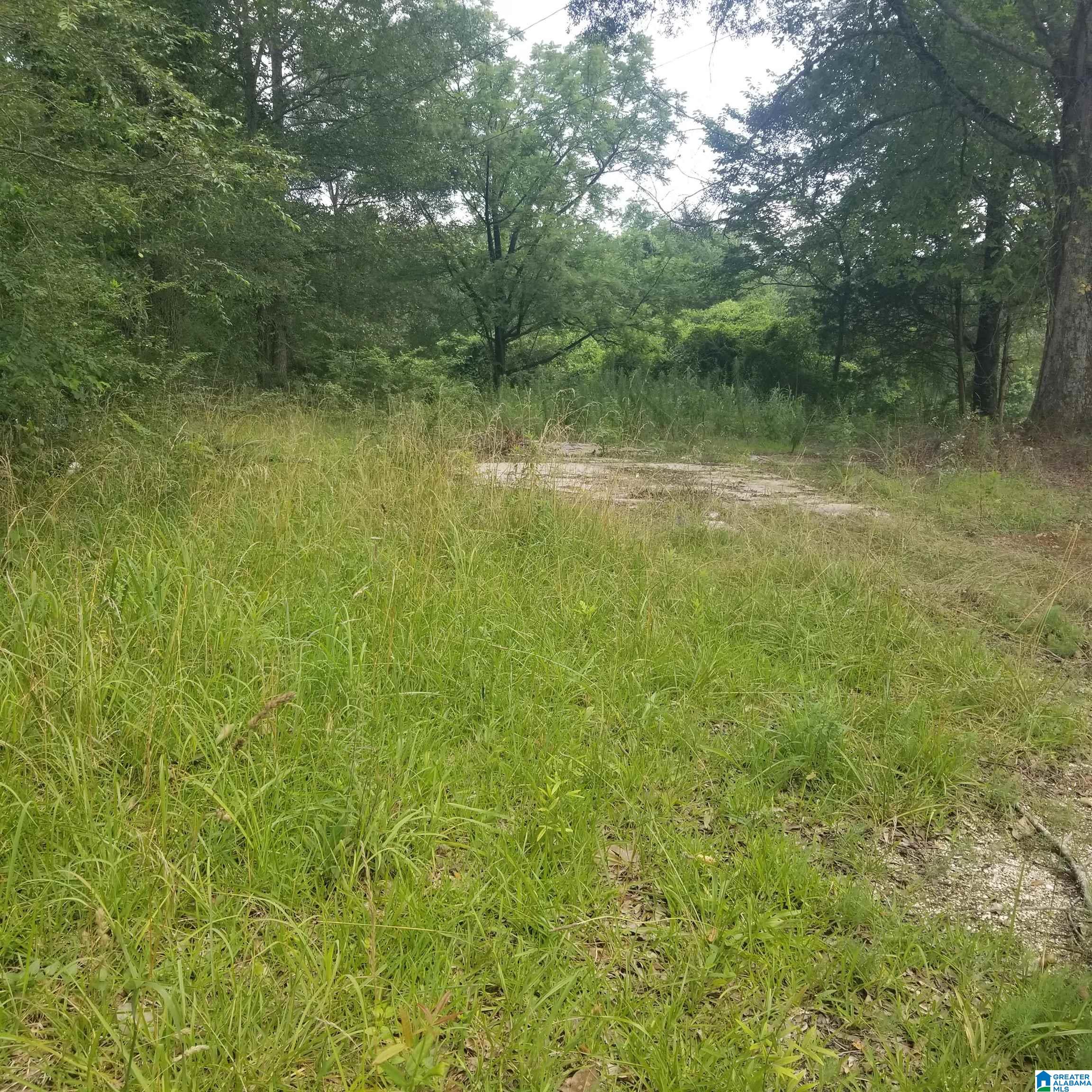 11284 Us Highway Riverside, AL 35135 - Photo 20 of 20