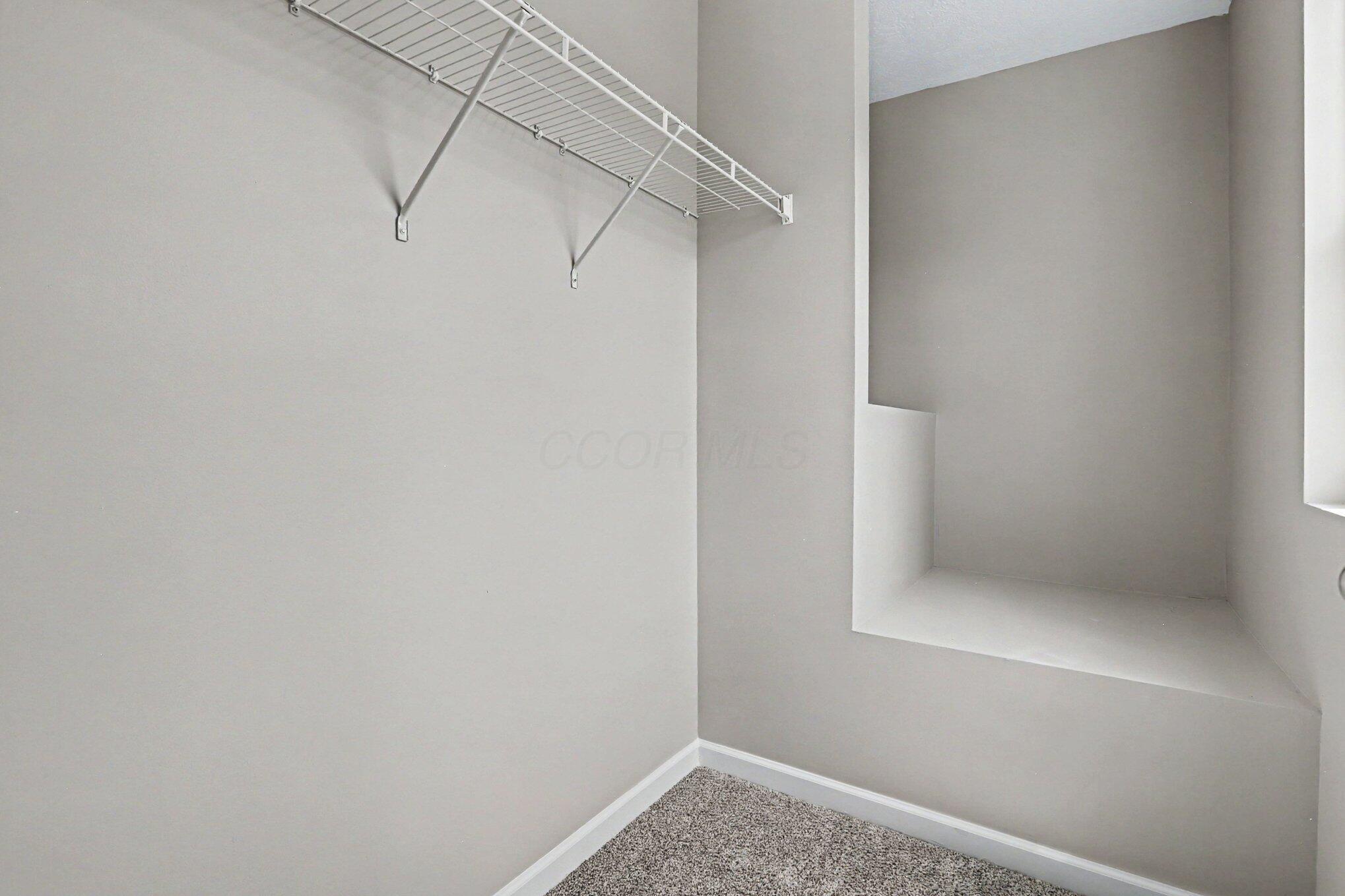 5458 Spring River Avenue Dublin, OH 43016 - Photo 21 of 38 Master Walk-In Closet