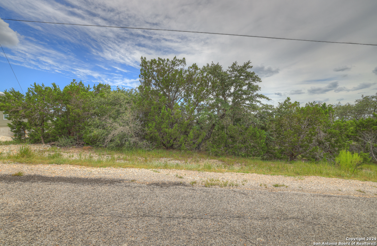 283 Blue Bonnet Breeze Spring Branch, TX 78070 - Photo 16 of 25