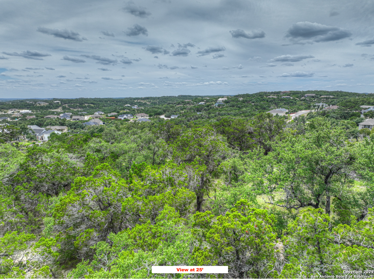 283 Blue Bonnet Breeze Spring Branch, TX 78070 - Photo 19 of 25