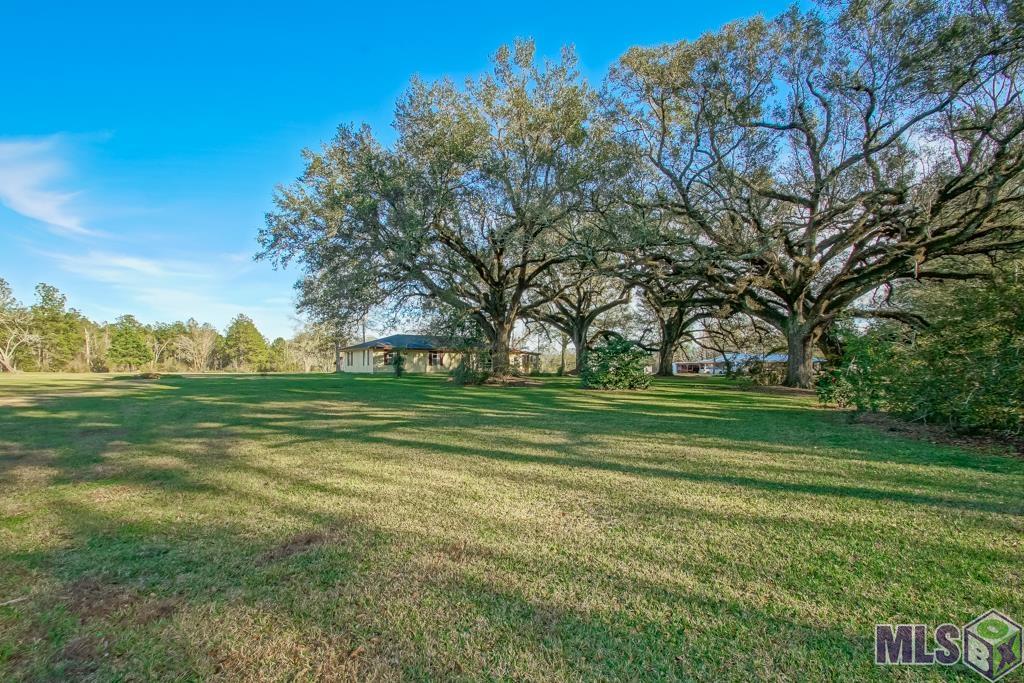 15061 Catfish Farm Road Independence, LA 70443 - Photo 3 of 38 Gallery Image 3
