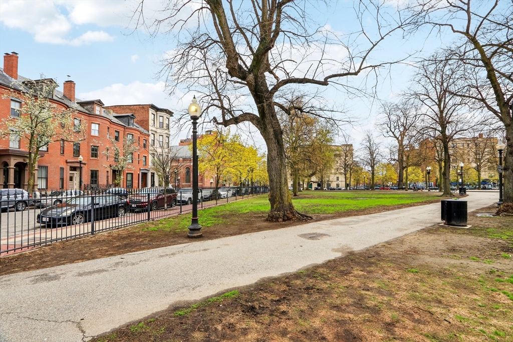 431 Shawmut Avenue, Unit 2 Boston, MA 02118 - Photo 2 of 25 a view of a park with large trees