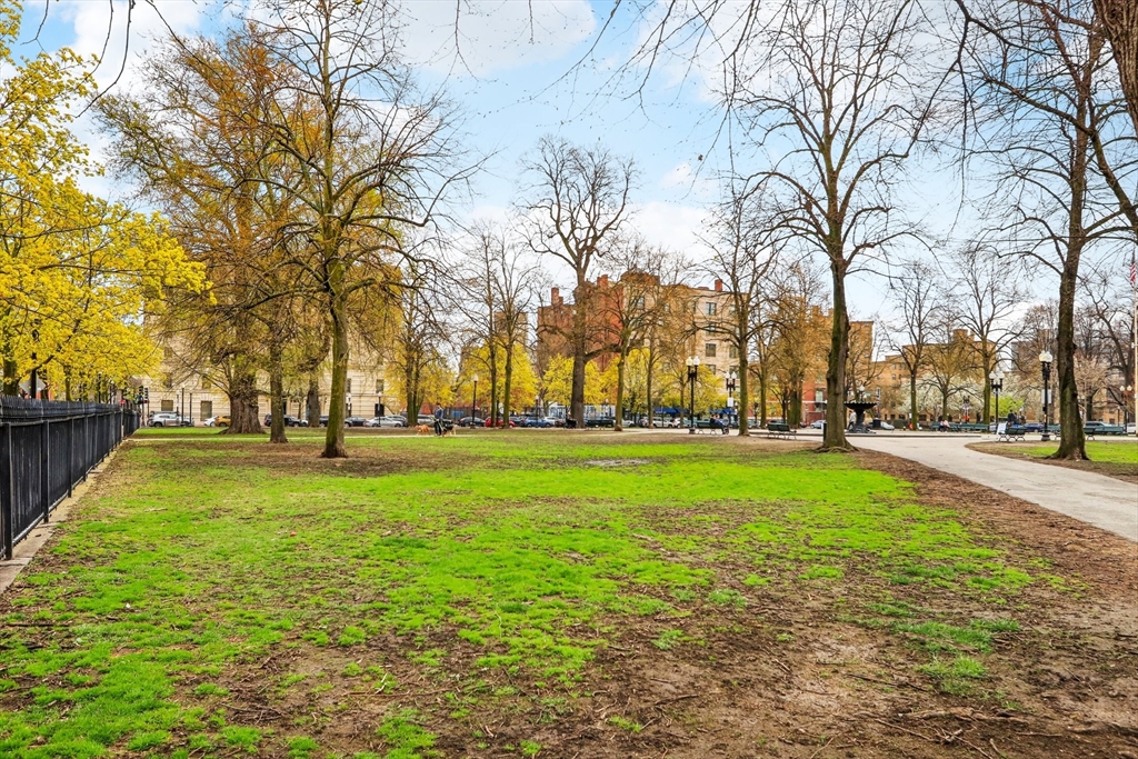431 Shawmut Avenue, Unit 2 Boston, MA 02118 - Photo 25 of 25 a huge green field with lots of trees