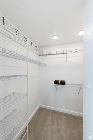 4595 College Ridge Court Millcreek, UT 84117 - Photo 25 of 57 Primary suite walk in closet.