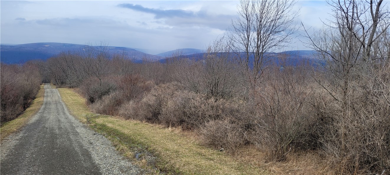 0 South Hill Road Middlesex, NY 14507 - Photo 1 of 1 Gallery Image 1