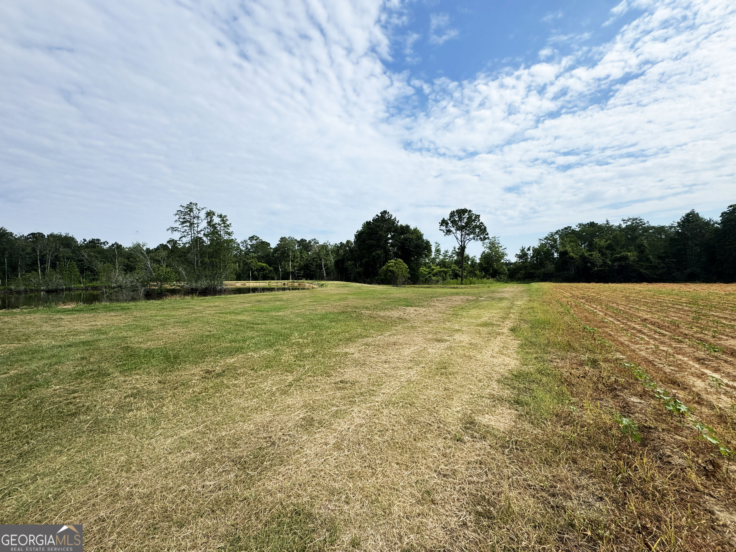 245 Brookfield Nashville Road Enigma, GA 31749 - Photo 35 of 38